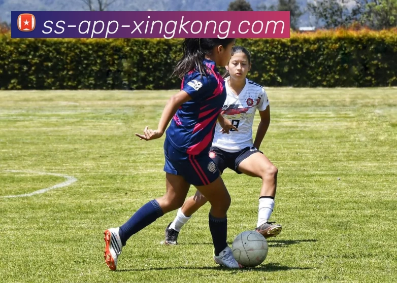 App Interface Preview