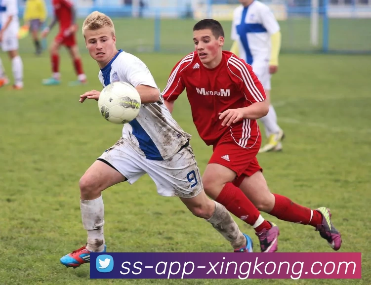 星空体育官网APP 封面图