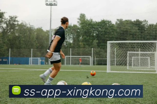 数据防护可视化